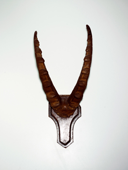 Horns-2